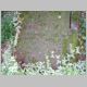 026-009_Haardt_Spartakistengrab.JPG