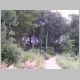029-002_Bottrop_Wald_Exekution.JPG